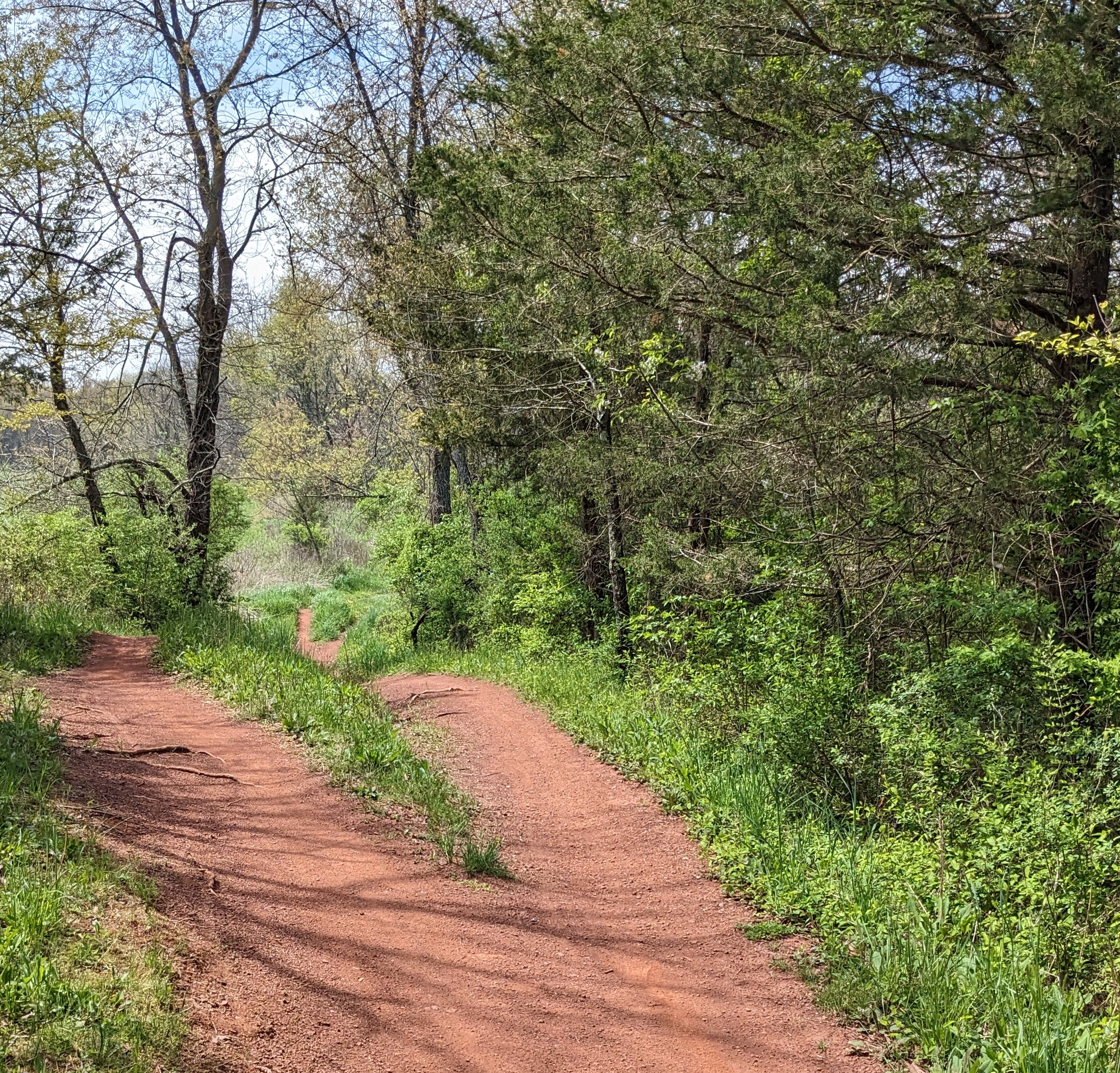 six mile clay — trail